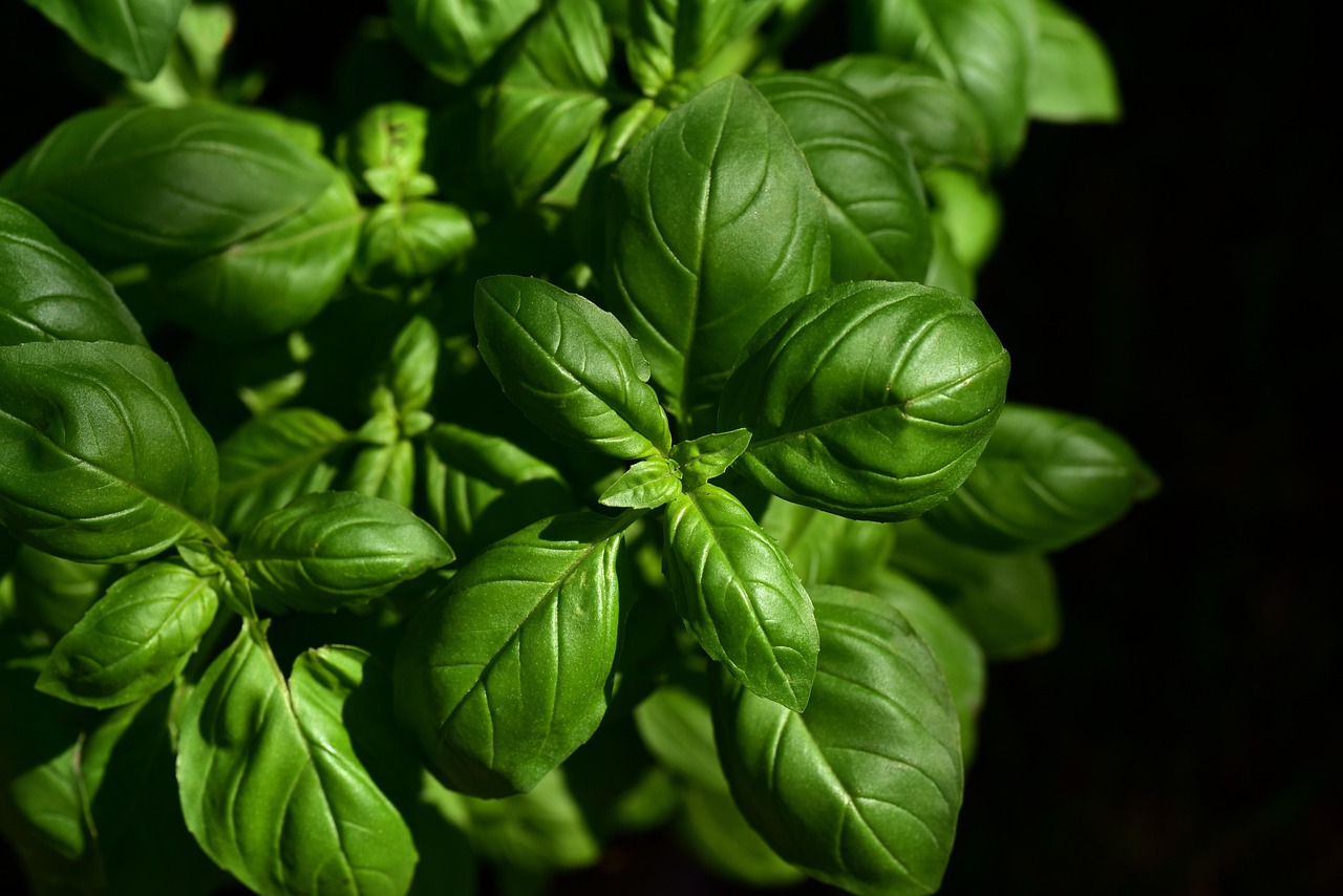 Wie verhindere ich, dass Kräuter beim Kochen ihr Aroma verlieren?